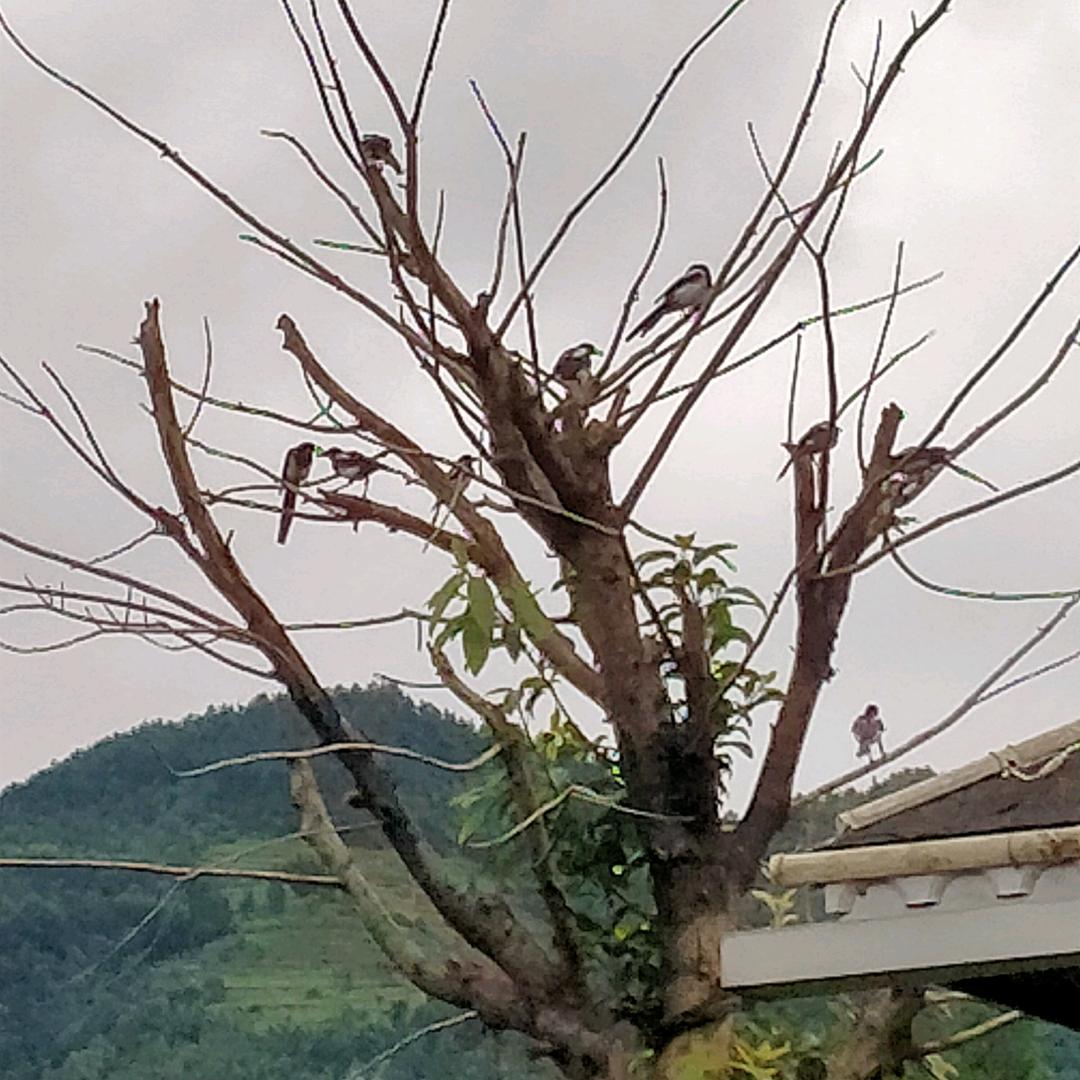 玻璃窗外的雨