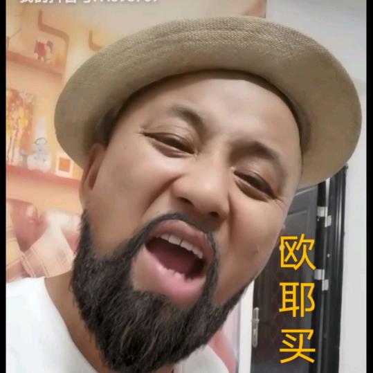 东北连炮直播号
