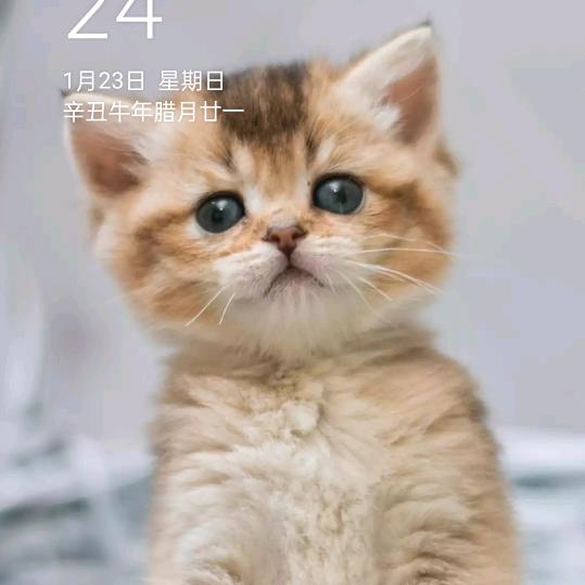 佳＋头像