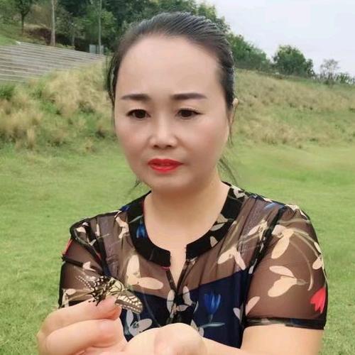 用户葡萄不萄