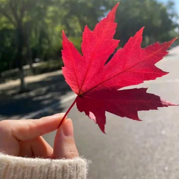 爱国爱党爱人民！