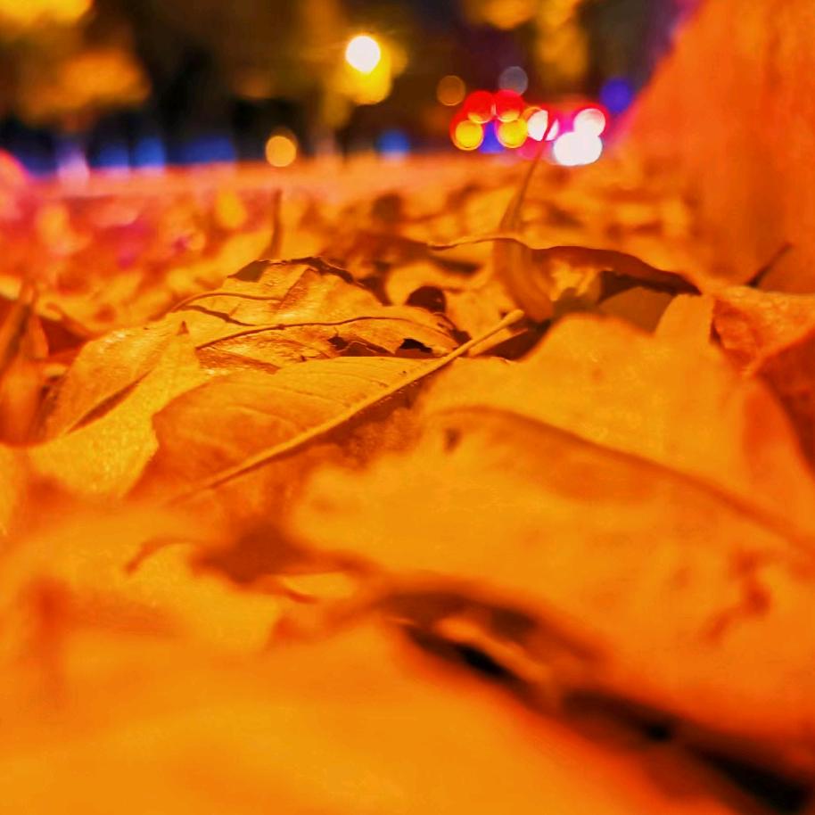 叮叮当当那个叮当