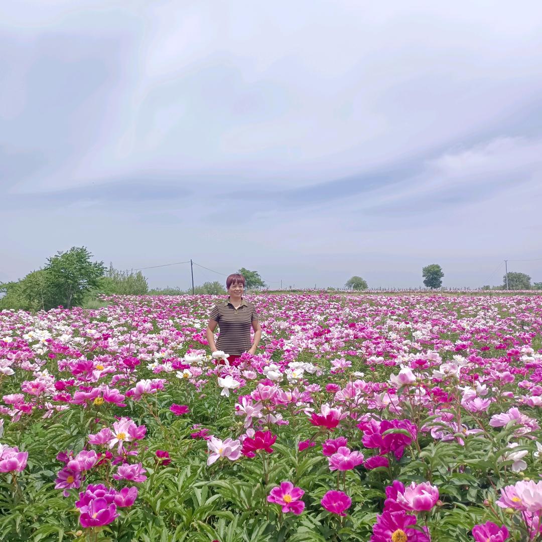 快快乐乐高高兴兴