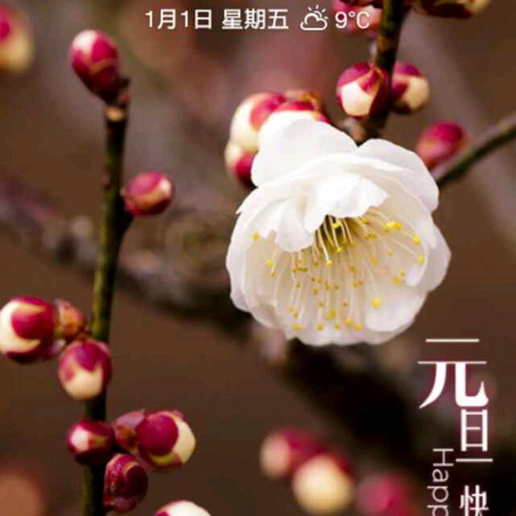用户931133898