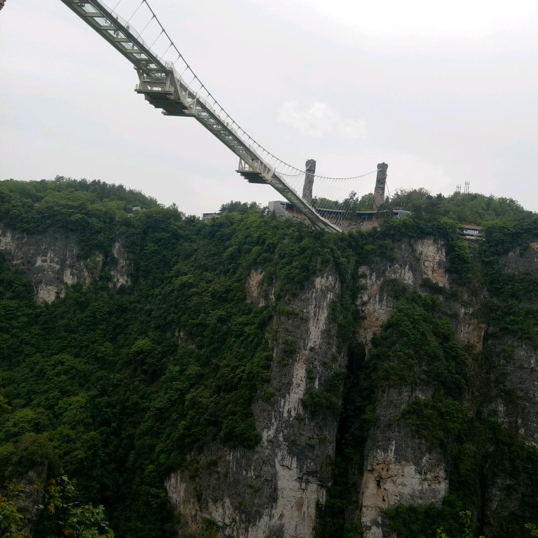 远逝的背影