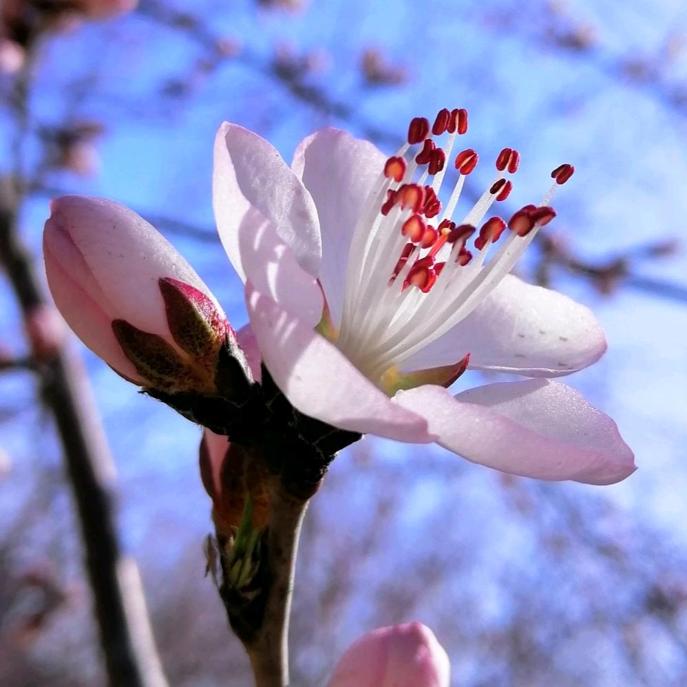 晓chy