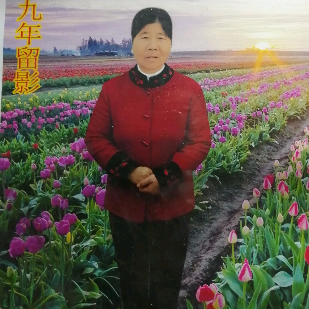 冯则凤