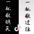 人生若如初相见