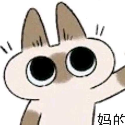 DM豆泥