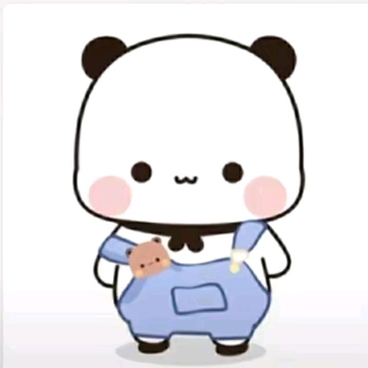 不爱胡萝卜的兔子