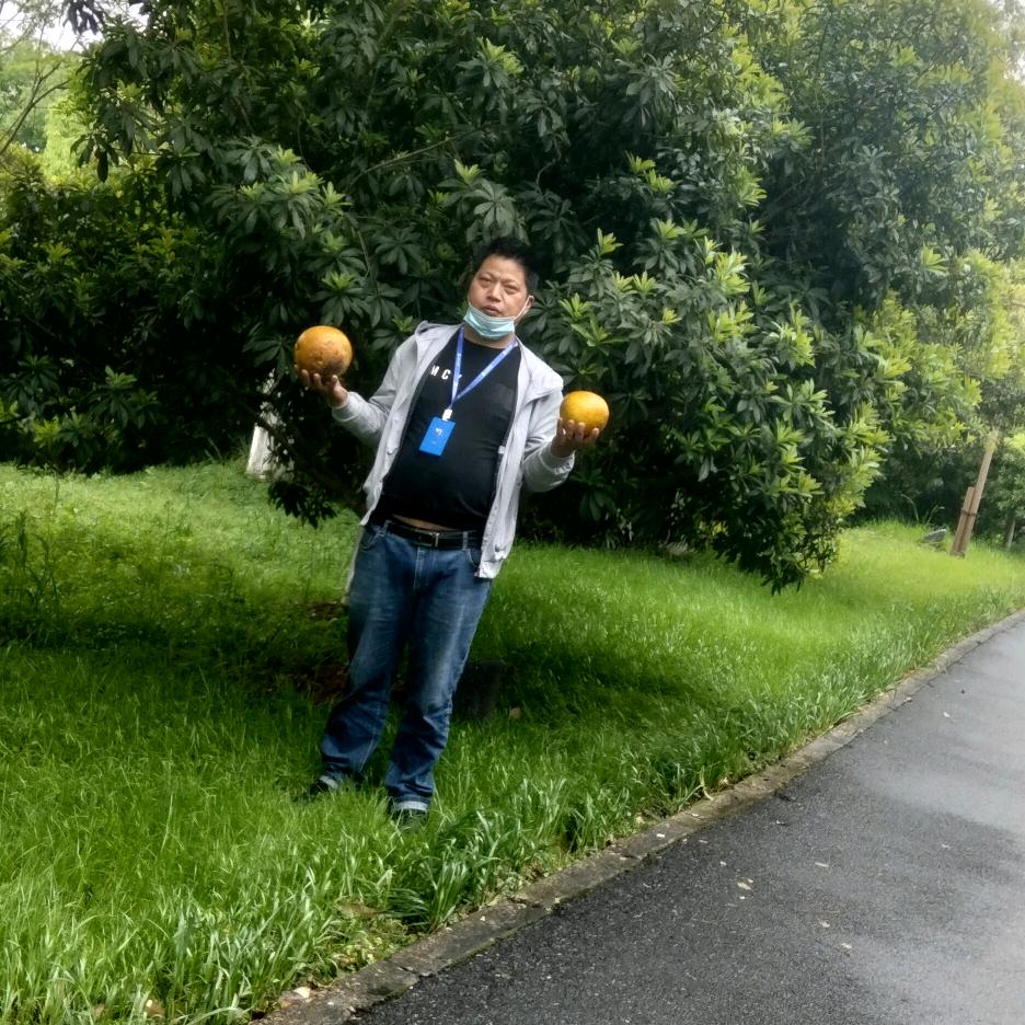 梦见缘分