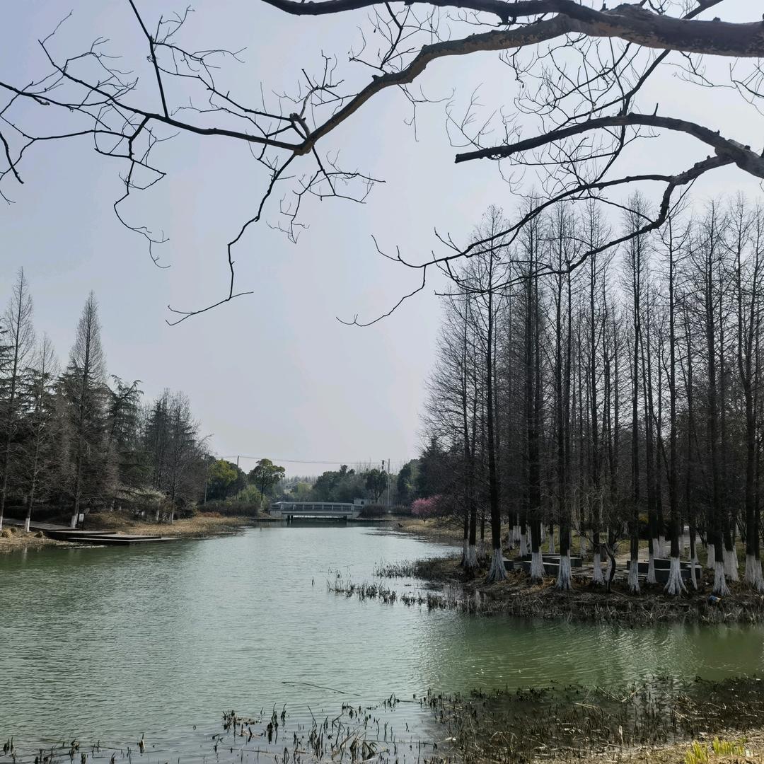 花与时光