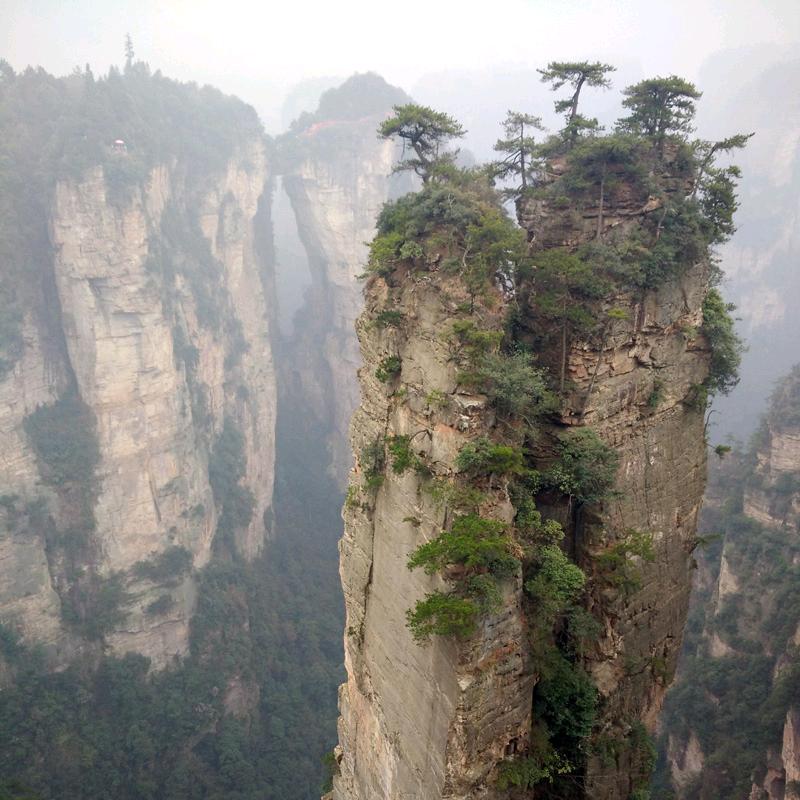 手捧初梦晓波