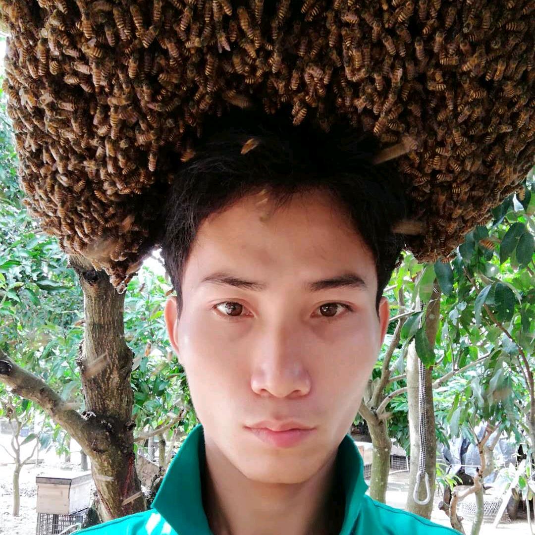 陵水蜂王
