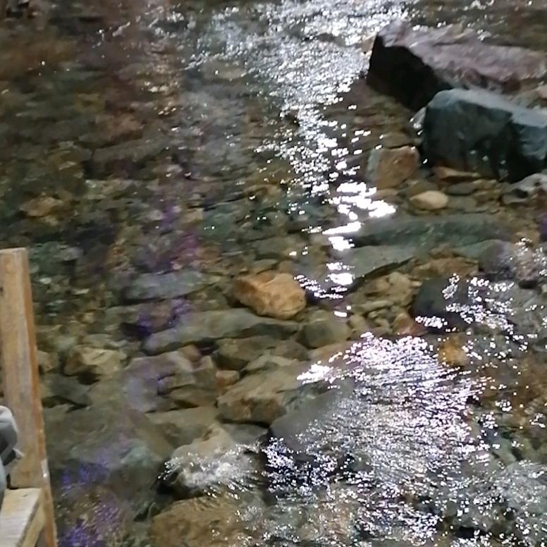 不离不弃