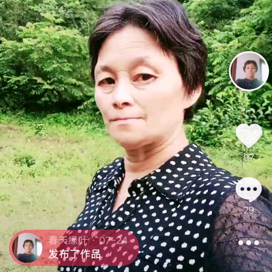 绿叶姐