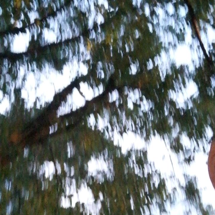 跑去那么远🌷🐜🐜
