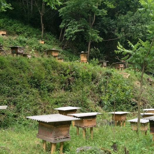 成默是金宋文成