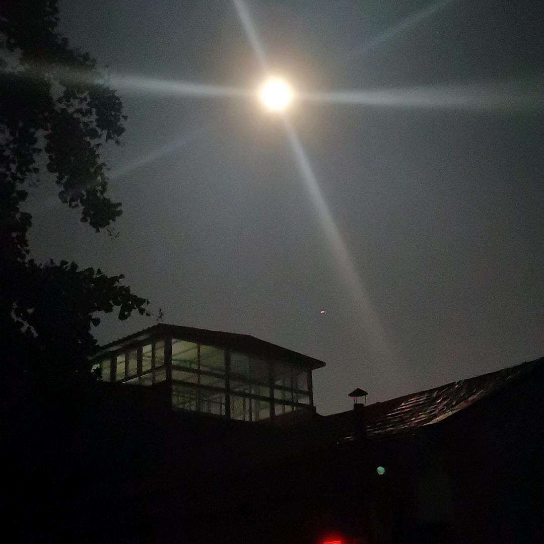 高一歌
