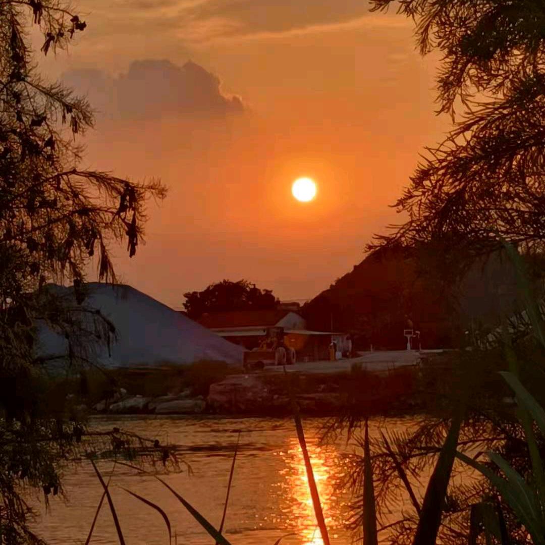 🍃🍃一叶知秋🍂🍂