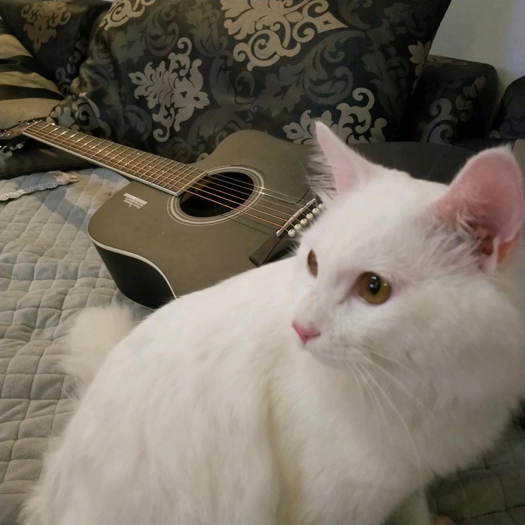 当你看到这句话的时候请提醒我去练琴