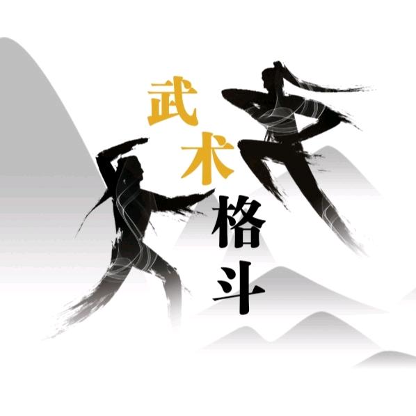 武术格斗@抖音