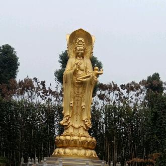 杨三姐