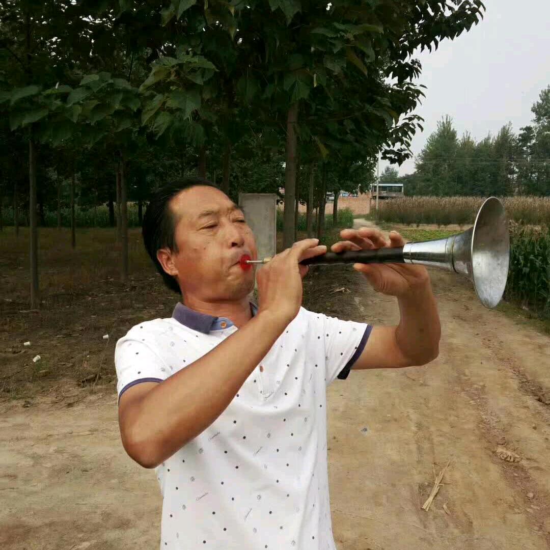 华州艺人
