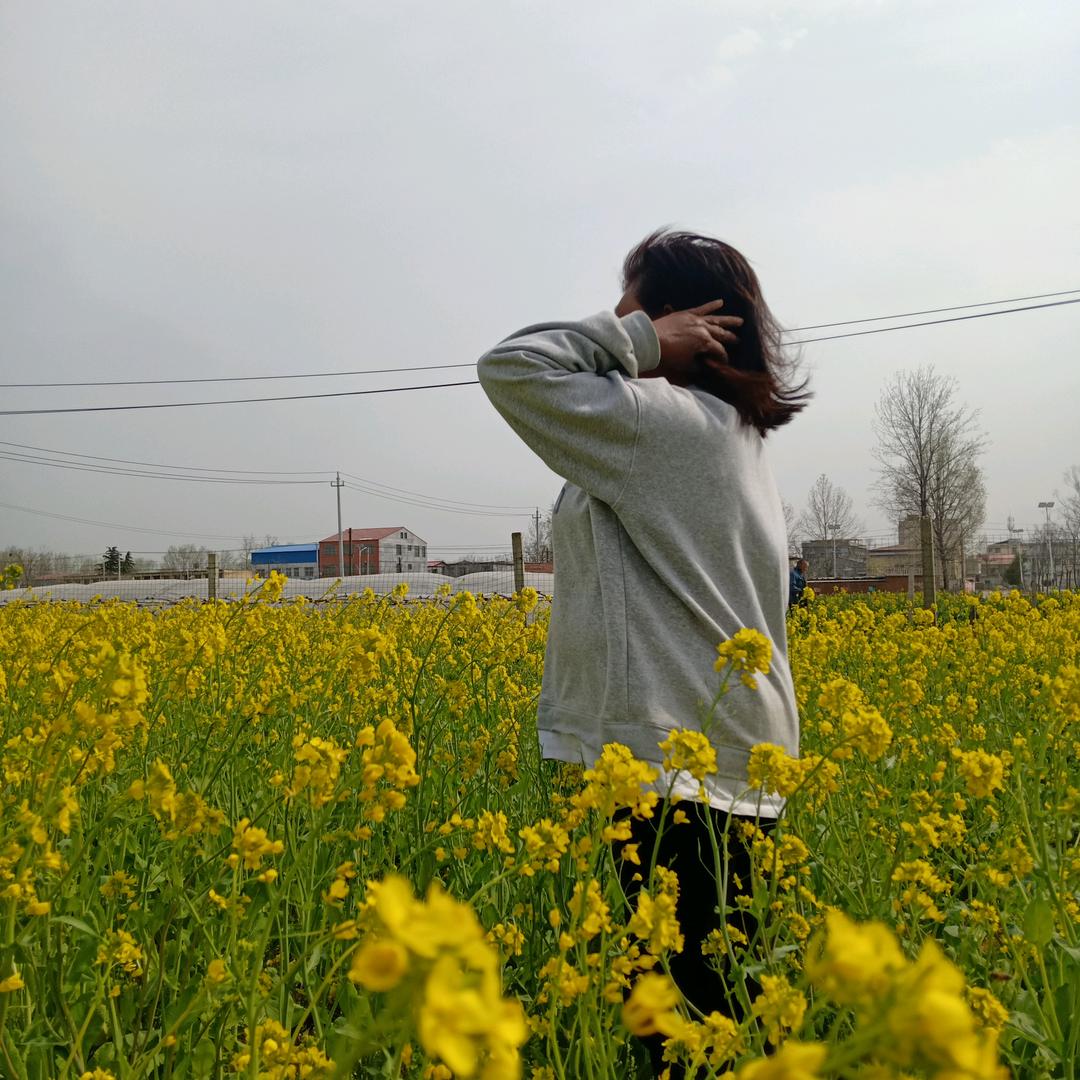 林月到