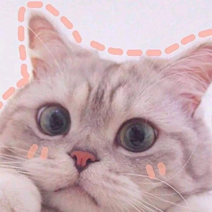 萧ら◉‿◉