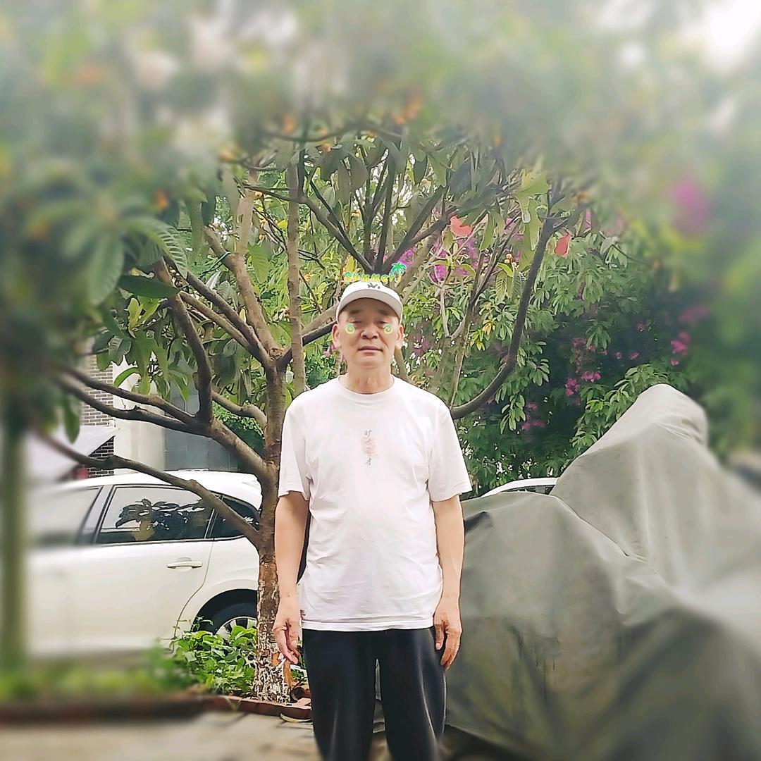 柳