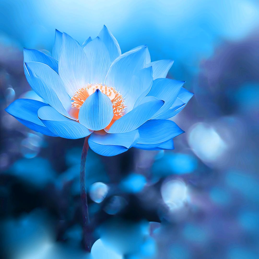 🌈💞姚꧔ꦿ⁵²º💞🌈