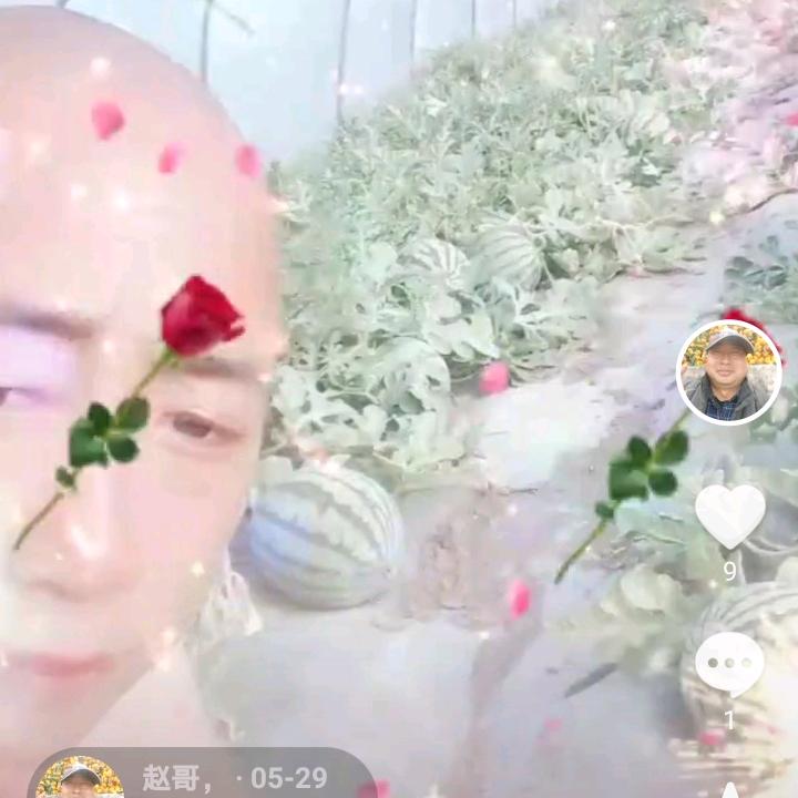 赵哥，