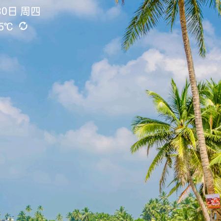 灵宝绿洲咨询服务部
