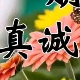 不可输