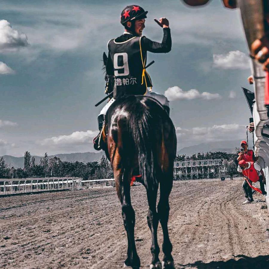 新疆西域众诚赛马