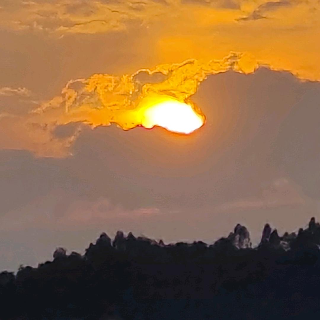 名字那是什么。