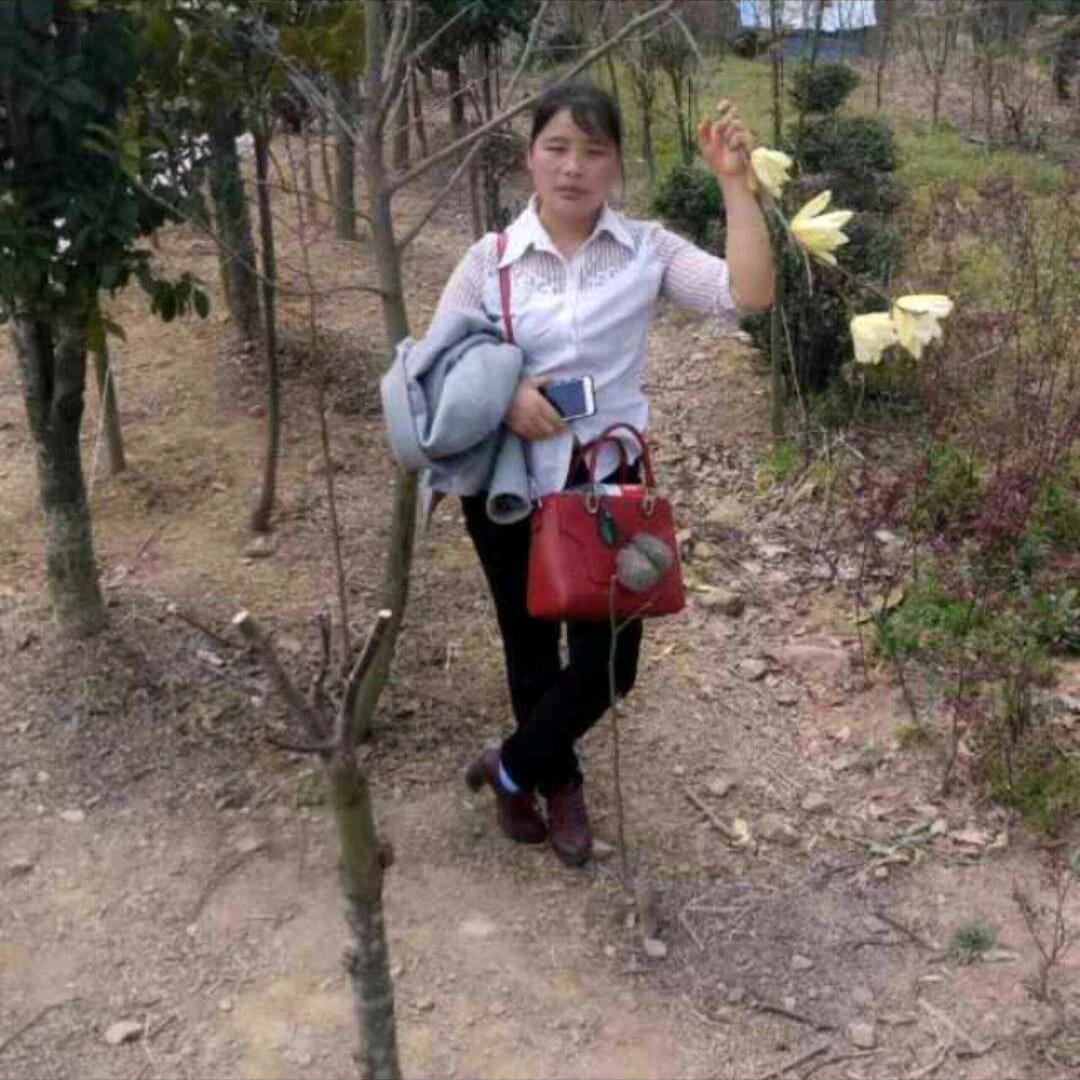 难忘回忆