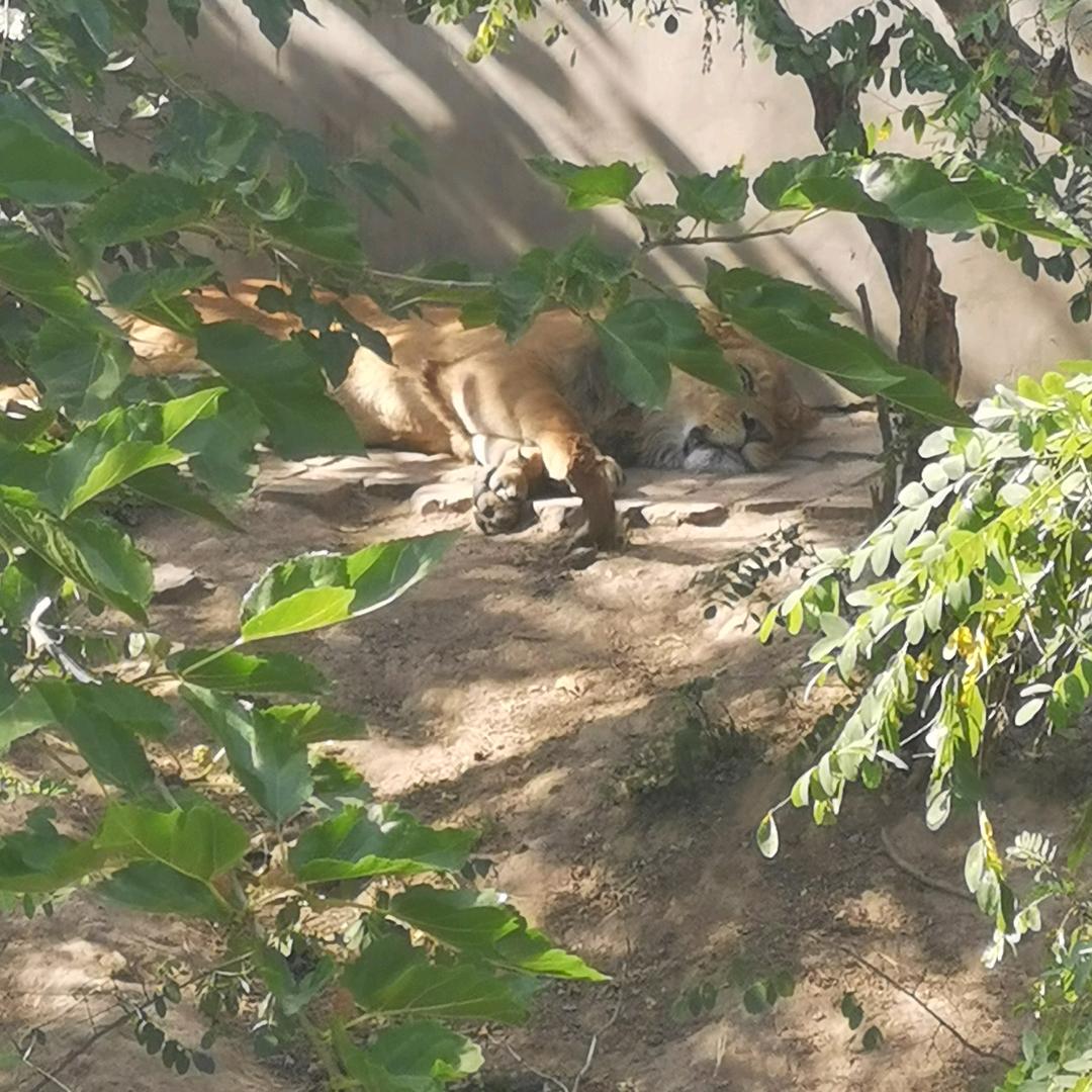 🐇不温柔的喆喆妈🐒