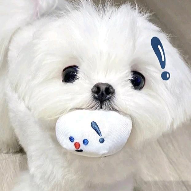小明🐳