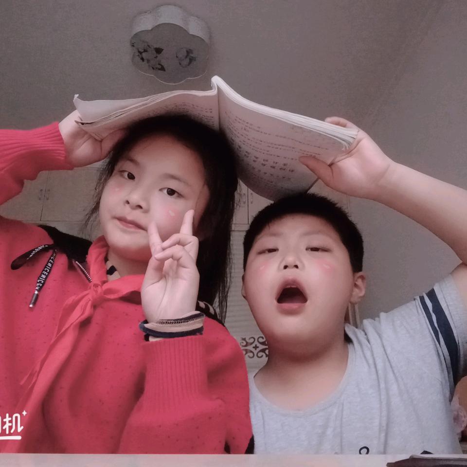 小清新