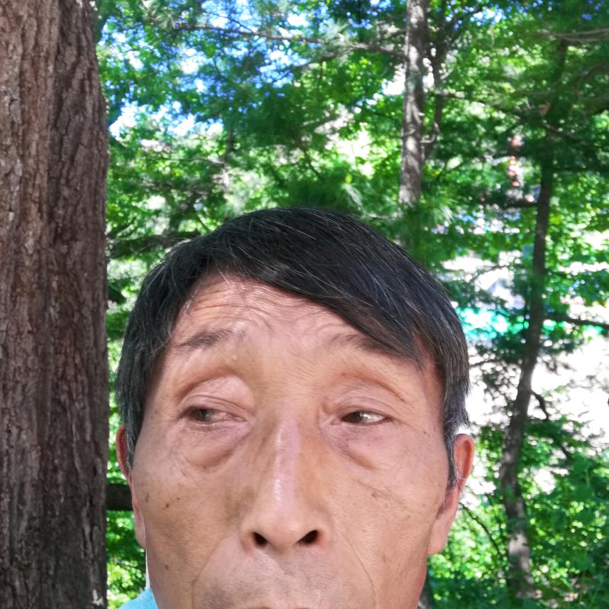 诚信