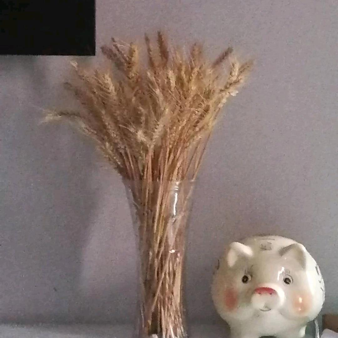 80后单眼皮Jy
