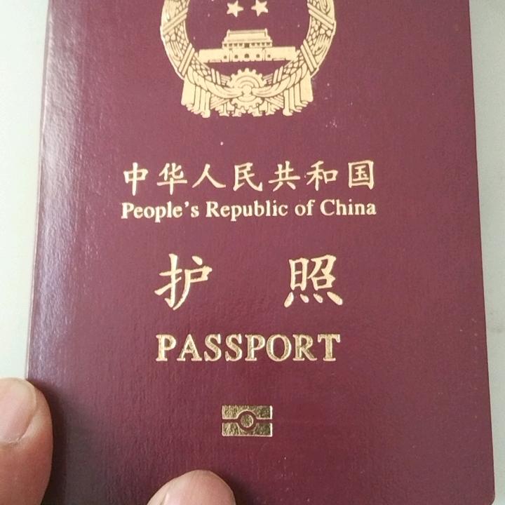 龙哥