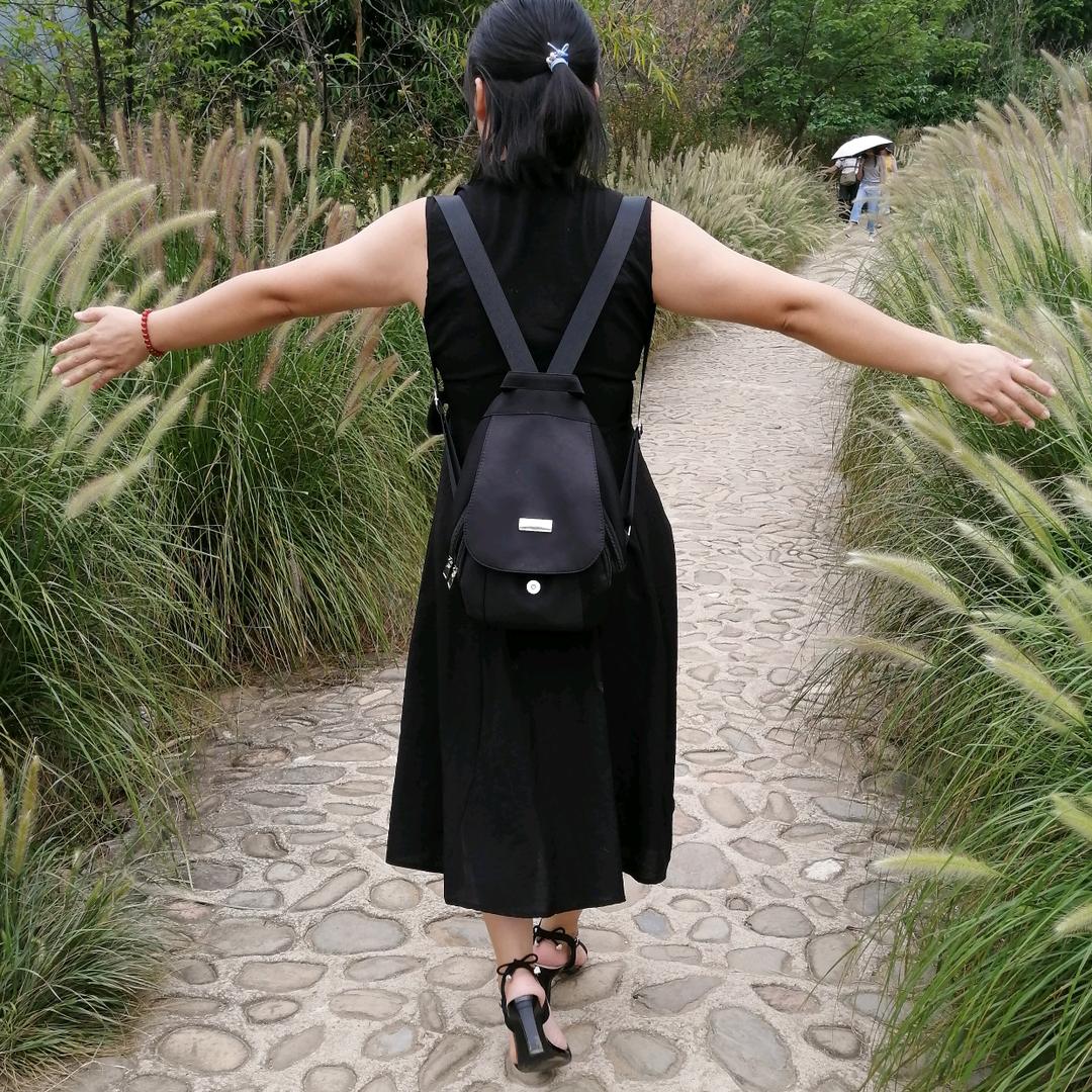 秋海梓月龙