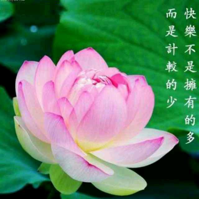 上官敏