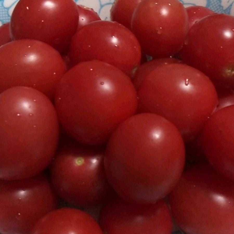 西西（首播筹备中）