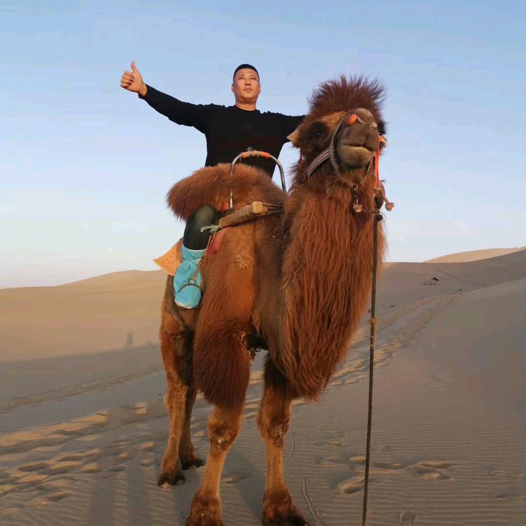 盖州市惠客真炸鸡腿店官方号