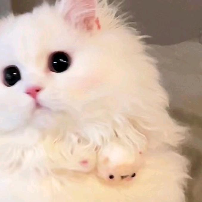 小回o.O