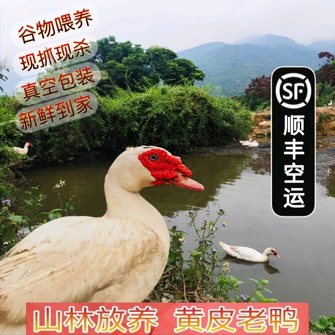 闽都山里农家乐